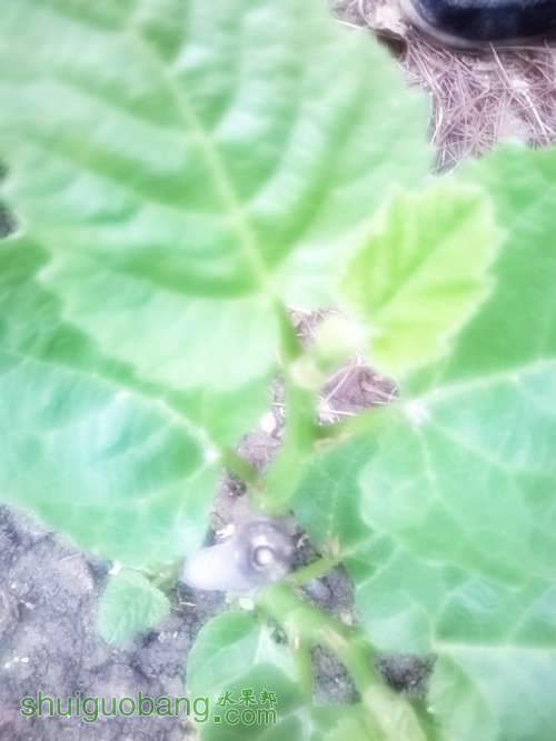MediaLib_Camera Roll_Camera360_2014_5_4_061538.jpg