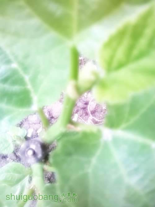 MediaLib_Camera Roll_Camera360_2014_5_4_061530.jpg