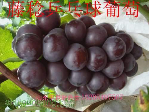 f9198618367adab40652ecef8bd4b31c8601e498_����_����.jpg