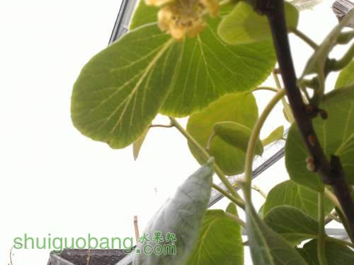 WP_002308.jpg