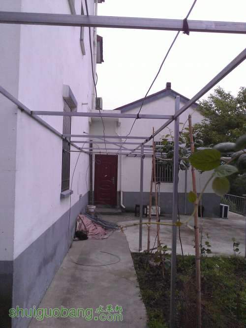 WP_002321.jpg