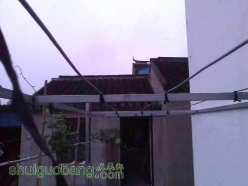 WP_002323.jpg