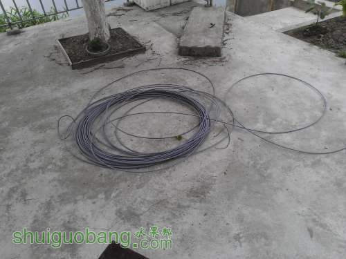 WP_002344.jpg