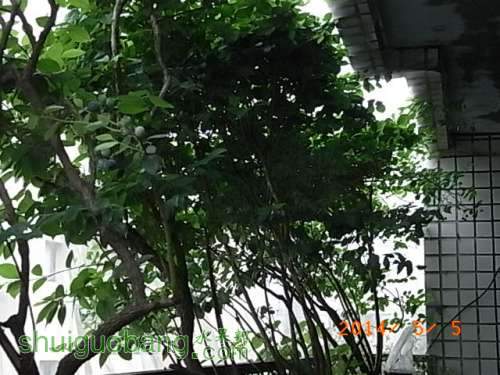 RIMG0024.JPG