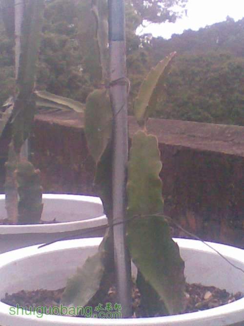 05052014_015.jpg