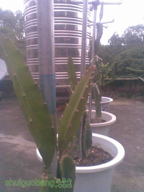 05052014_017.jpg