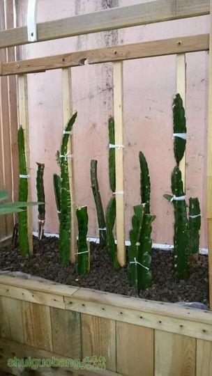 20140506_063546.jpg