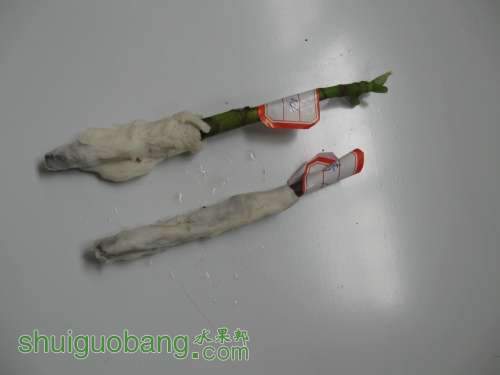 QQͼƬ20140507152938.jpg