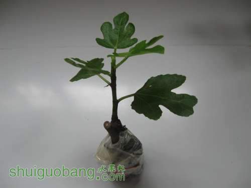 QQͼƬ20140507152824.jpg