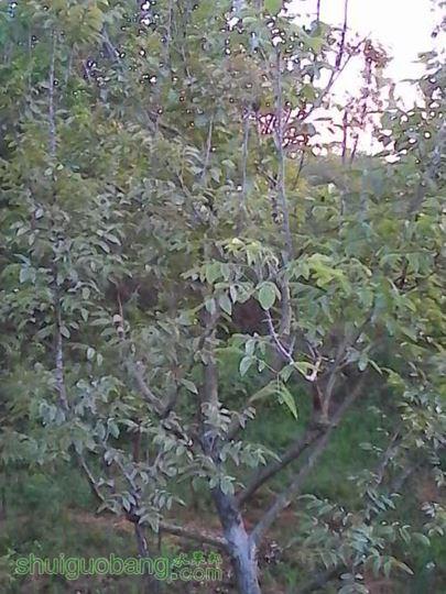 IMG_20140506_055215.jpg