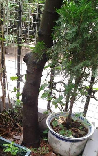 20140501_111027-59.jpg