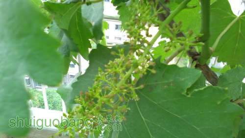 IMG_20140509_170011.jpg
