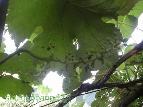 20140509_164226.jpg