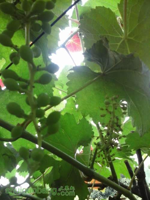 20140509_164246.jpg