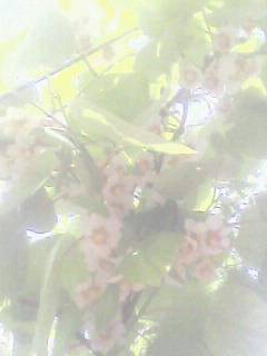 1406050108A.jpg