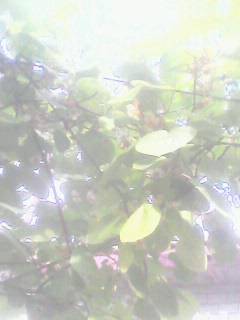1407050113A.jpg