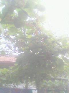 1407050112A.jpg