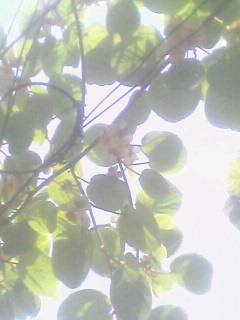 1406050109A.jpg