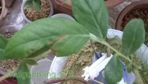 WP_20140510_005.jpg