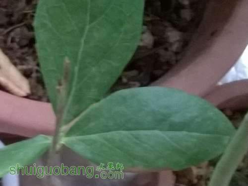 WP_20140510_006.jpg