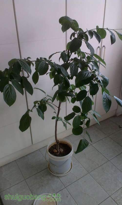 IMAG0050.jpg