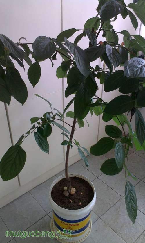 IMAG0095.jpg