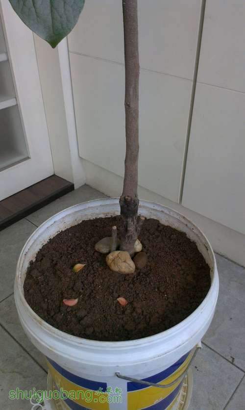 IMAG0096.jpg