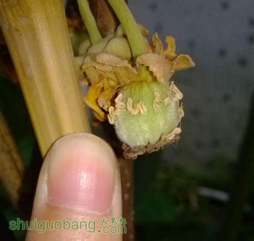 QQͼƬ20140511112635.jpg