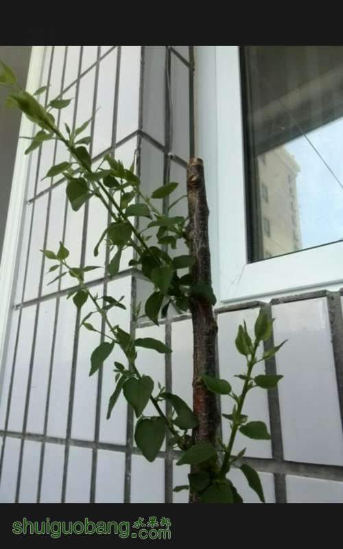 QQͼƬ20140511123628.jpg