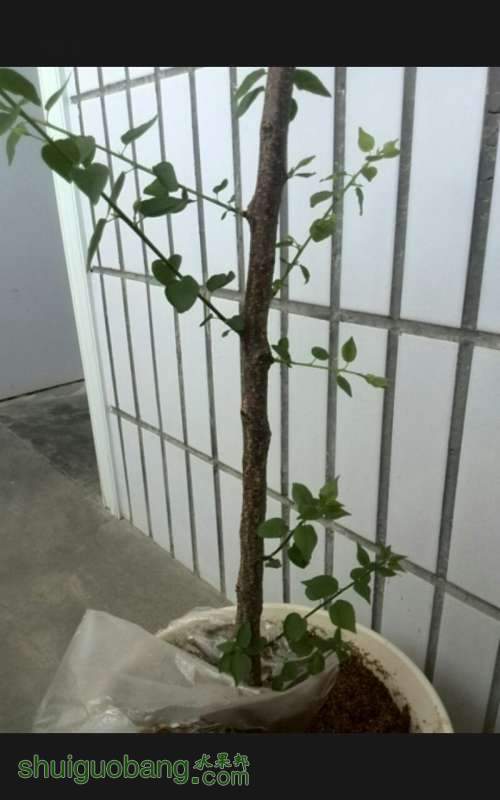 QQͼƬ20140511123638.jpg