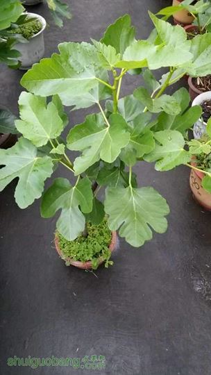 20140511_151621.jpg