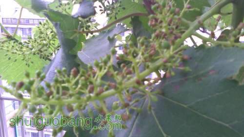 IMG_20140511_174419.jpg