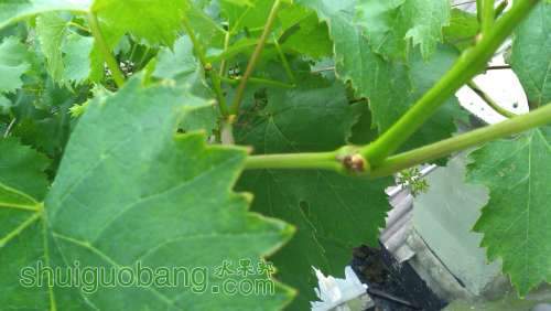 IMG_20140511_174810.jpg
