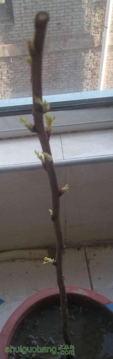 2014-05-11 16.58.40.jpg