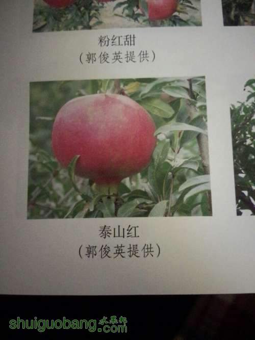 QQͼƬ20140511194642.jpg