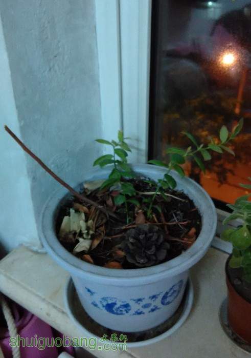 QQͼƬ20140511210617.jpg