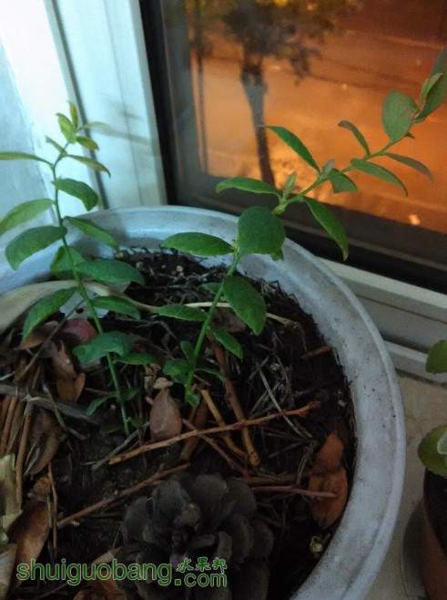 QQͼƬ20140511211013.jpg