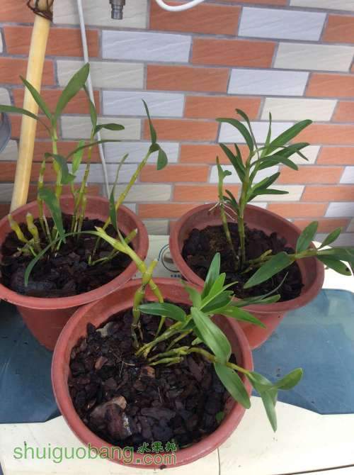 2014-05-10 072040.jpg