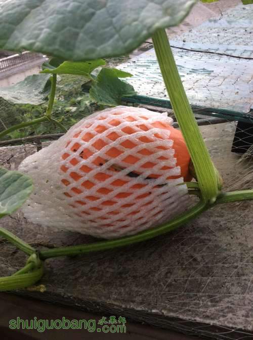 2014-05-10 072641.jpg