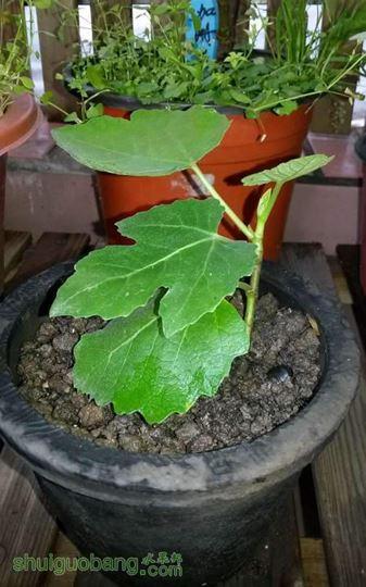 20140512_075456.JPG