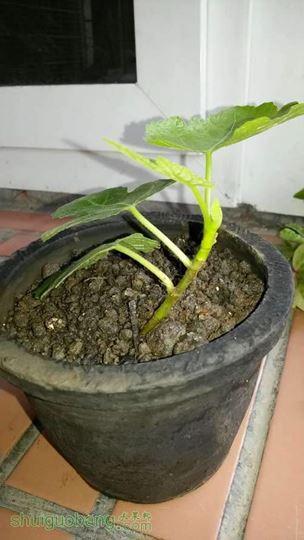 20140512_080200.jpg