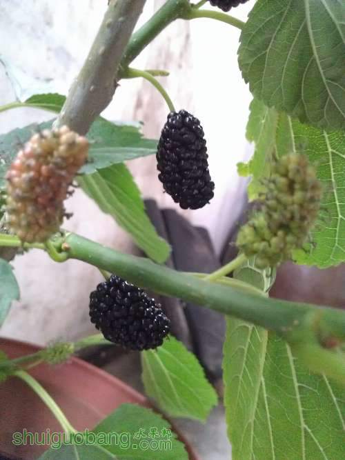 WP_002398.jpg