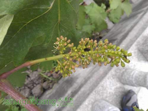 WP_002354.jpg
