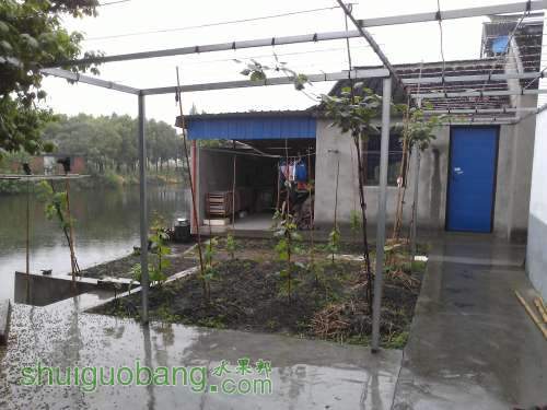 WP_002372.jpg