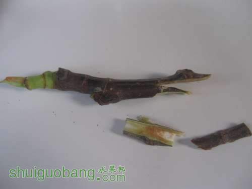 QQͼƬ20140512195103.jpg