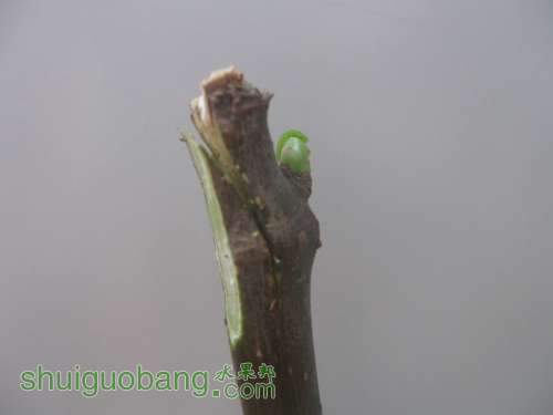 QQͼƬ20140512195137.jpg