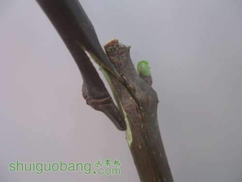 QQͼƬ20140512195212.jpg