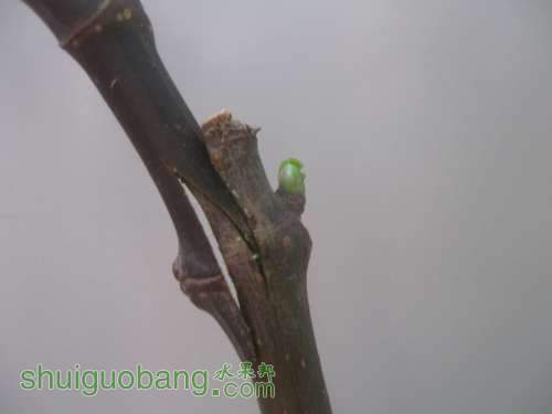 QQͼƬ20140512195236.jpg