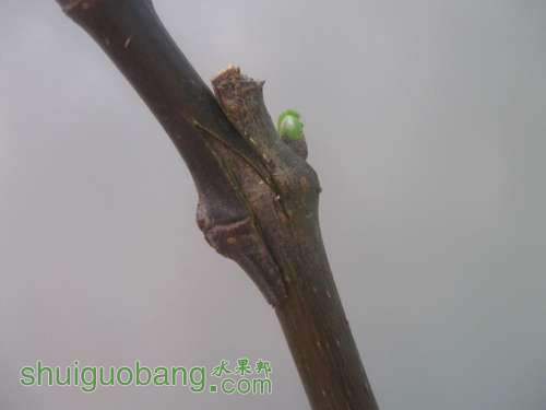 QQͼƬ20140512195302.jpg