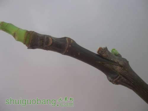 QQͼƬ20140512195347.jpg